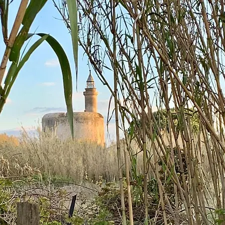 Lou Mireio Appartement *